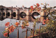 16  CONFOLENS  Le Pont Vieux Sur La Vienne    N° 3 \MK3003 - Confolens