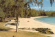 ILE MAURICE MAURITIUS  PEREYBERE Entre Grand Baie Et Cap Malheureux   N° 80 \MK3005 - Mauricio