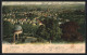 AK Wiesbaden, Panorama Vom Neroberg  - Wiesbaden