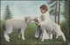 England Tier-AK Mädchen Mit Zwei Lämmern, VENTNOR 4.11.1905 - Autres & Non Classés