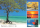 ILE MAURICE MAURITIUS Multivue  N° 15 \MK3033 - Mauritius