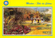 MENTON Fêtes Du Citron Jardins Bioves    N° 52 \MK3033 - Menton