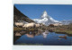 11915953 Zermatt VS Schafe Riffelsee Matterhorn Mt Cervin  - Autres & Non Classés