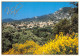 VOLX  Tré Beau Village 14  (scan Recto Verso) MD2501BIS - Forcalquier