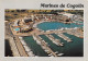 LES MARINES DE COGOLIN  8  (scan Recto Verso)MD2502TER - Cogolin