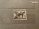 1960	Australia	Horses  (F95) - Used Stamps