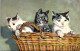 20483 Cpa Fantaisie - Chats - Gatos