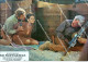 Bo11 Foto Locandina Film  I Professionisti Claudia Cardinale Burt Lancaster - Autres & Non Classés