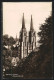 AK Marburg A. D. Lahn, Blick Auf Die Elisabethkirche  - Marburg