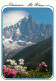 CHAMONIX Le Dru 20(scan Recto-verso) MD2580 - Chamonix-Mont-Blanc