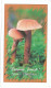 COV 34 - 1222-a MUSHROOMS, Romania - Mini Cover + Greeting Card - 2004 - Brieven En Documenten