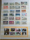 Delcampe - TIMBRES - Album à Bande 32 Pages Collection TIMBRES De FRANCE NEUF Et OBLITERE - Collections