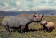 TANZANIA Tanzanie  UCANDA KENYA RHINOCEROS  36 (scan Recto Verso)ME2646BIS - Tanzanie