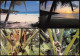 SEYCHELLES Praslin  37 (scan Recto Verso)ME2646UND - Seychelles