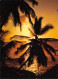 SEYCHELLES Coucher De Soleil  38 (scan Recto Verso)ME2646UND - Seychellen