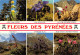 Fleurs Des Pyrénnées   Cauterets Arrens Bareges  33 (scan Recto Verso)ME2650UND - Lourdes