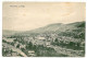 RO 40 - 2921 MEHADIA, Caras-Severin, Panorama, Romania - Old Postcard - Used - 1911 - Roemenië