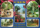 CAEN Le Jardin Des Plantes 1 (scan Recto Verso)ME2678 - Caen