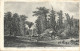 CPA Ancien Paris-Le Bois De Boulogne Sous Louis XVI-452     L2881 - Autres & Non Classés