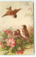 N°18368 - C. Klein - Oiseaux Dans Un Nid - Klein, Catharina