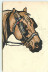 N°13853 - MM Vienne N°246 - Tête De Cheval - Vienne