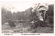 Australia - FERN TREE GULLY (VIC) The Gembrook Train - REAL PHOTO - Publ. The Rose Series 745 - Otros & Sin Clasificación