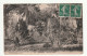 Afrique . Guinée . Konakry . Le Jardin Public . 1908 - Guinea