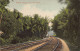 Sri Lanka - Railway Trough Coconut Estate - Publ. Plâté & Co. 111 - Sri Lanka (Ceylon)