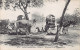 India - AGRA - Camel Teams - Publ. Messageries Maritimes 274 - Inde