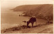 Guernsey - On The Cliffs At Mouley Huet - REAL PHOTO - Publ. Judges Ltd. 4557 - Guernsey