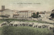 Canet Village ( Pyrénées Orientales ) Vue D'ensemble 1er Plan Troupeau De Moutons  Colorisée RV - Canet En Roussillon