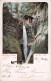 Shanklin The Chine Fall Isle Of Wight 1902 - Autres & Non Classés