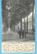 Ternat-Ternath (Vlaams Brabant Flamand) -1901-La Drève Du Château-Le Jardinier Et Le Châtelain-voir Cachets Et Timbres - Ternat