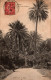 N°1580 W -cpa Alger -allée Des Palmiers- - Alger