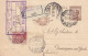 1528  - REGNO - Cartolina Postale Italiana Da Cent.40 Bruno Del 1925 Da Genova A Desenzano - RACCOMANDATA - - Postwaardestukken