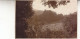 VAUVENARGUES  PAYSAGE   CARTE PHOTO   AMIEL 1926 - Other & Unclassified