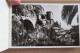 Delcampe - VM - 06 - 83 -carnet De 20 Cartes De La Cotes D'azur - Cannes - Nice - Villefranche - St Raphael - Antheor - Theoule.... - Provence-Alpes-Côte D'Azur