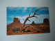 UNITED STATES  POSTCARDS ARIZONA   STAMPS   MORE  PURHASES 10% DISCOUNT - Other & Unclassified