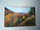 UNITED STATES  POSTCARDS 1980 PENNSYLVANIA AUTUM PORTAIT   MORE  PURHASES 10% DISCOUNT - Otros & Sin Clasificación