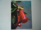 CHILE POSTCARDS  1973 FLOWERS MORE PURHASES 10% DISCOUNT - Chili