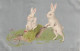 XXX - CARTE FANTAISIE - FAMILLE DE LAPINS HUMANISES DANS BROUETTE D' HERBE -  2 SCANS - Ostern