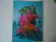 FRANCE POSTCARDS   RARE 3D    FLOWERS ORCHIDS MORE    PURHASES 10% OFF - Fleurs