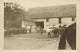 - Dpts Div. -ref-BN418- Agriculture - Carte Photo Ferme - Elevage De Chevaux - à Identifier Perche Ou Normandie - - Viehzucht