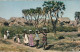 XXX - AFRIQUE - SUR LE CHEMIN DE LA FONTAINE - GROUPE D' ENFANTS ET FEMMES AFRICAINES - 2 SCANS - Africa