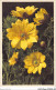 AJRP9-0947 - FLEURS - ADONIDE DE PRINTEMPS - Flowers