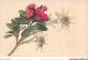 AJRP9-0945 - FLEURS - EDELWEISS - Blumen