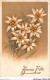 AJRP8-0824 - FLEURS - BONNE FETE - EDELWEISS - Flores