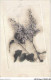 AJRP8-0828 - FLEURS - FLEUR SECHEE - Flowers