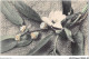 AJRP10-1028 - FLEURS - CLEMATITE - Blumen