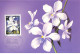 CARTE MAXIMUM #23568 NOUVELLE CALEDONIE NOUMEA 1993 BANGKOK FLEURS ORCHIDEE - Cartes-maximum